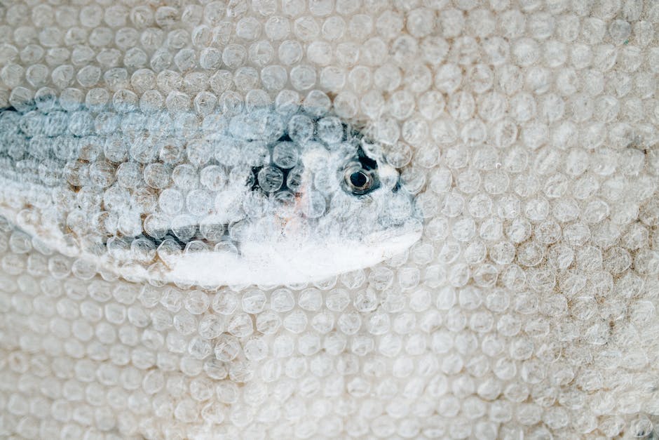 Warum sterben meine Fische im Aquarium? Hier sind die häufigsten Ursachen