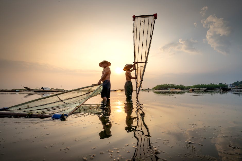 Wann ist der beste Zeitpunkt, um Fische in den Teich zu setzen